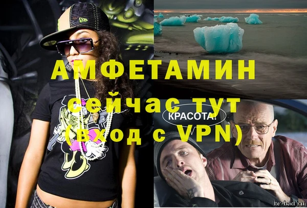 амф Вяземский