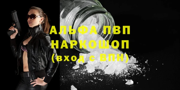 ГАЛЛЮЦИНОГЕННЫЕ ГРИБЫ Горно-Алтайск