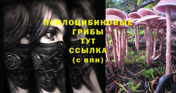 ALPHA-PVP Вязники