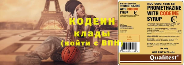 амф Вяземский