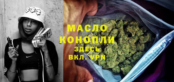 амф Вяземский