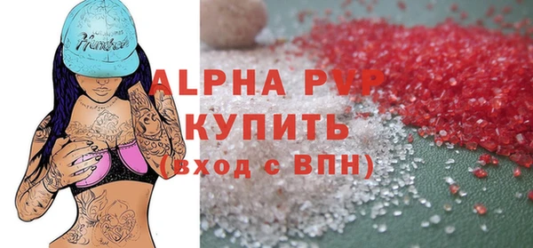 амф Вяземский