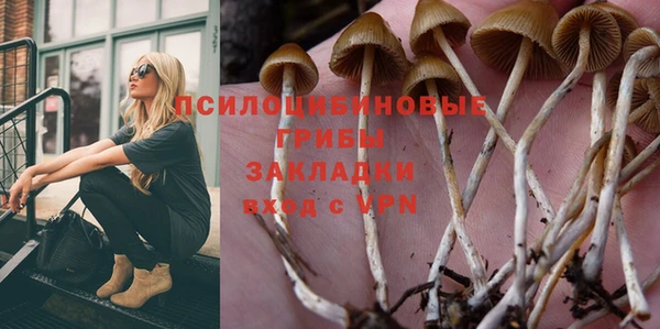 ГАЛЛЮЦИНОГЕННЫЕ ГРИБЫ Горно-Алтайск