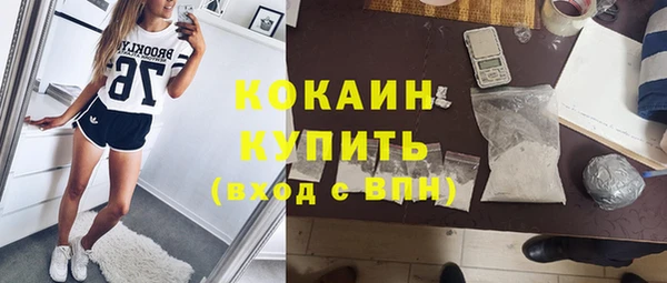 ГАЛЛЮЦИНОГЕННЫЕ ГРИБЫ Горно-Алтайск
